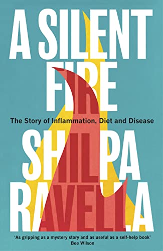 A Silent Fire: The Story of Inflammation, Diet and Disease von Bodley Head